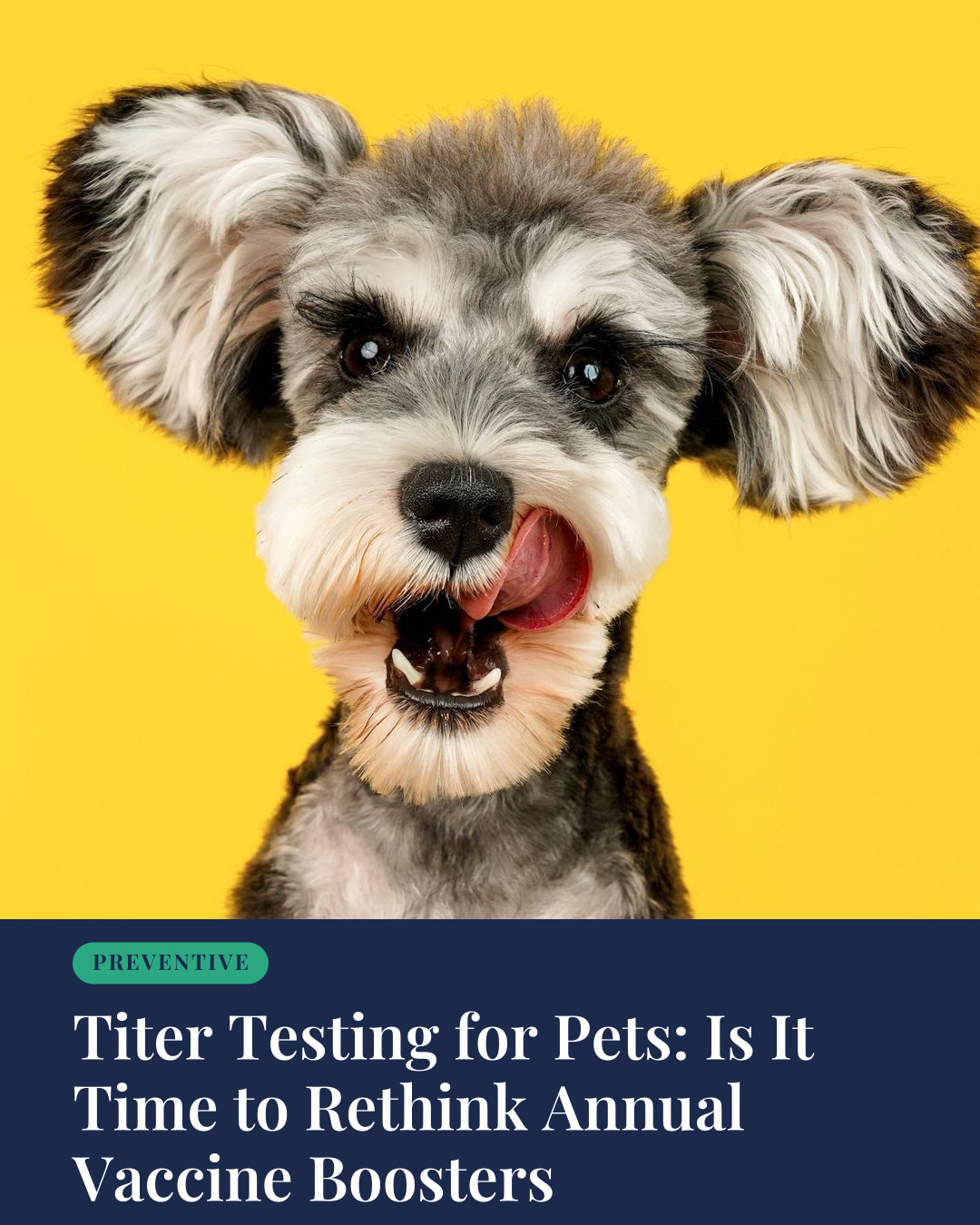 Titer Testing for Pets: Is It Time to Rethink Annual Vaccine Boosters ...